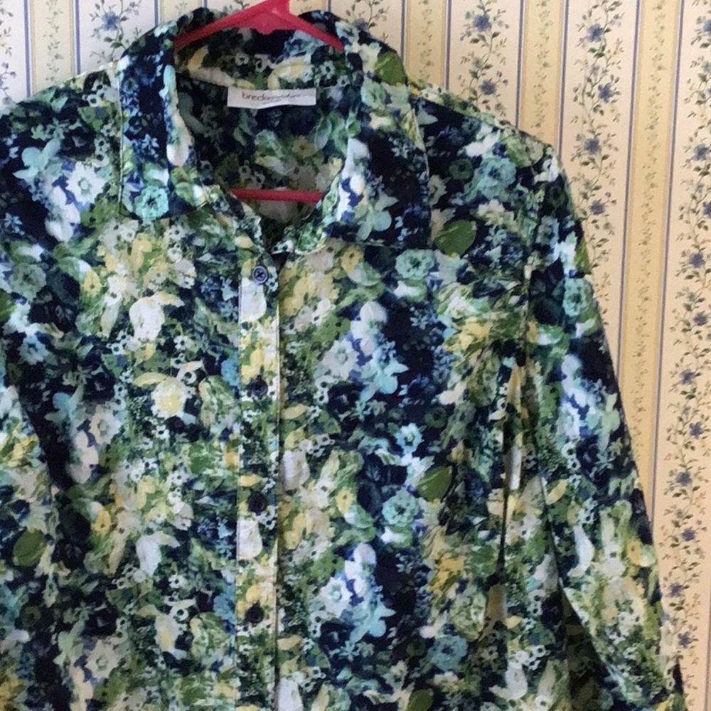 Breckenridge Green and Blue shirt
